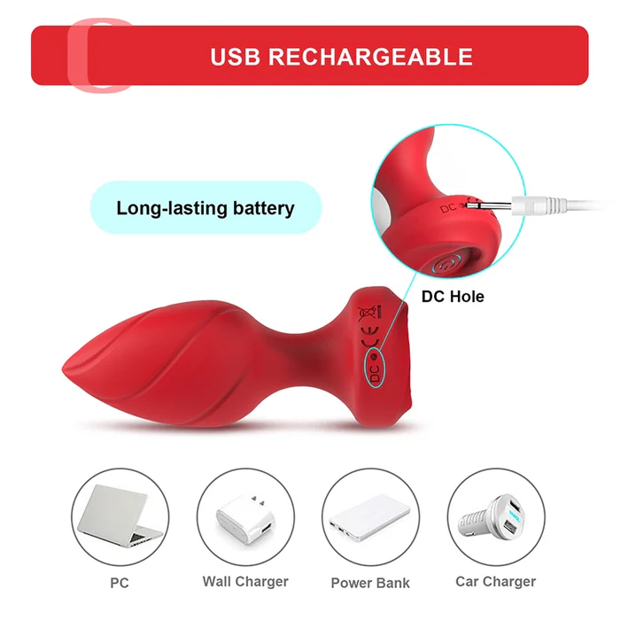 remote-control-butt-plug-set-toys-4pcs