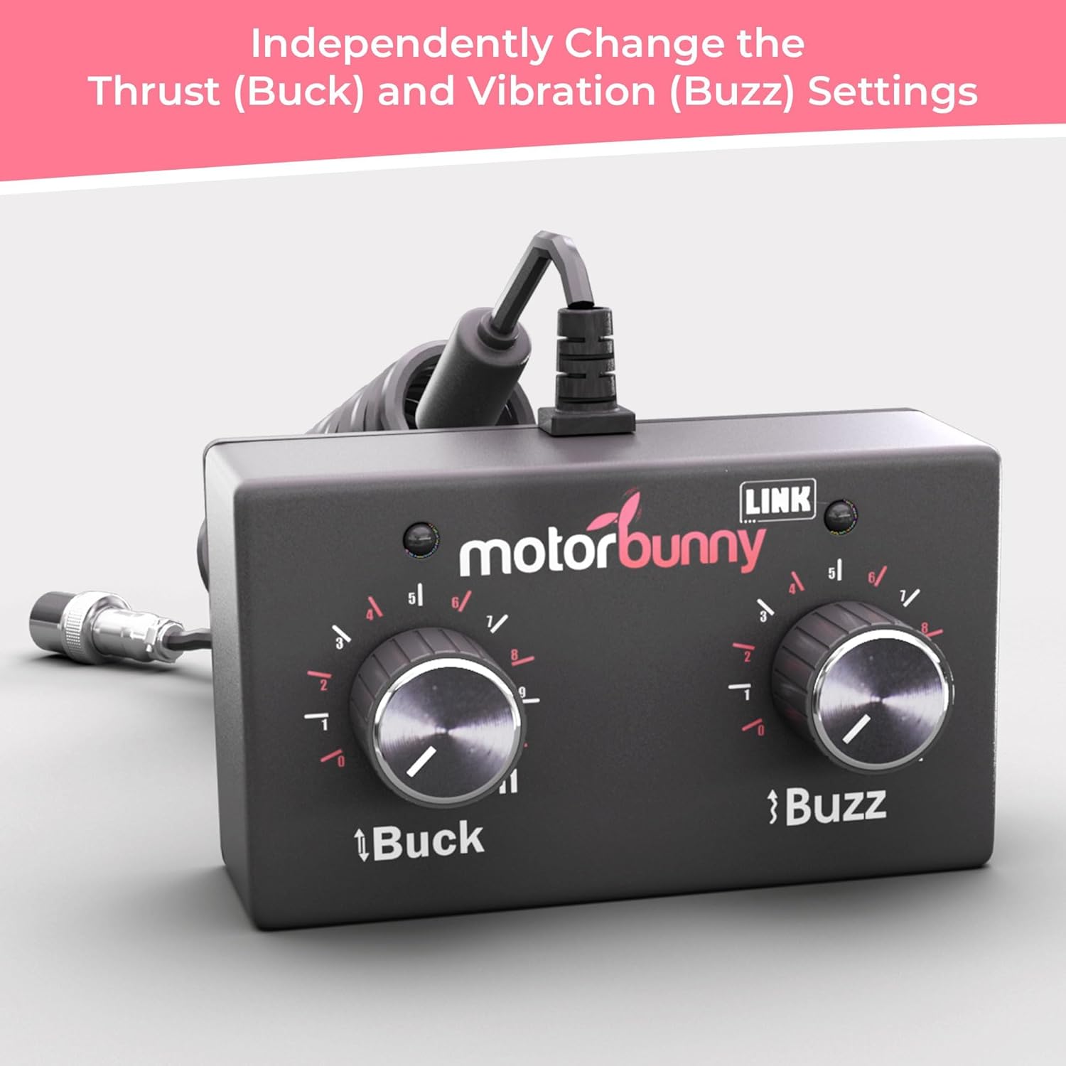 motorbunny-buck-ride