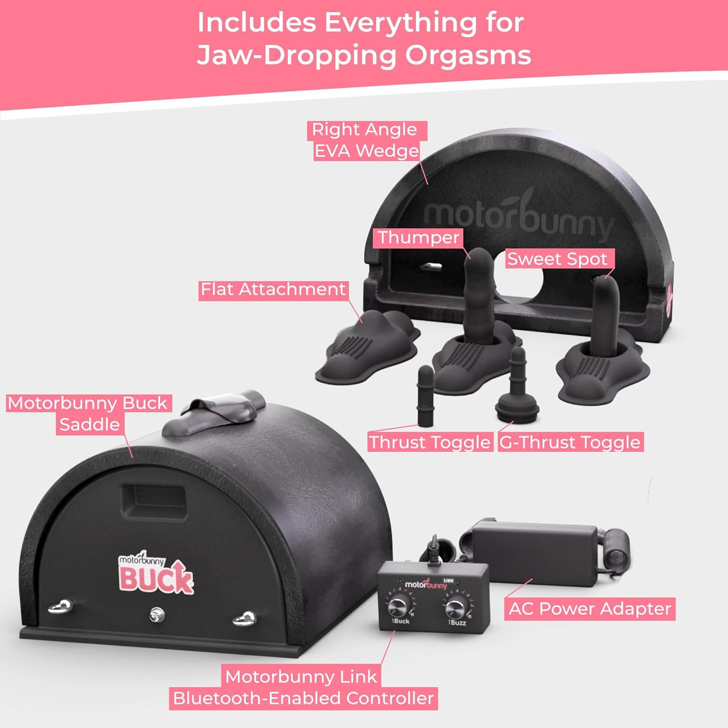 motorbunny-buck-ride